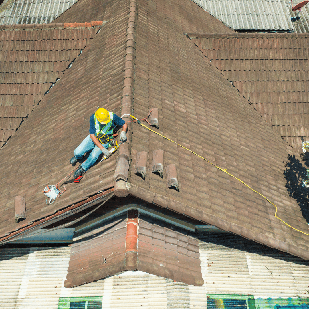 Roof Cleaning & Insulation